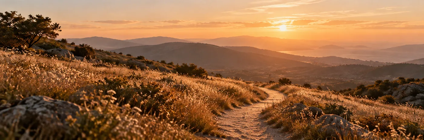Sentiero dorato in un paesaggio tranquillo